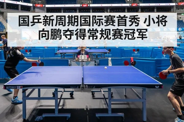 国乒新周期国际赛首秀 小将向鹏夺得常规赛冠军